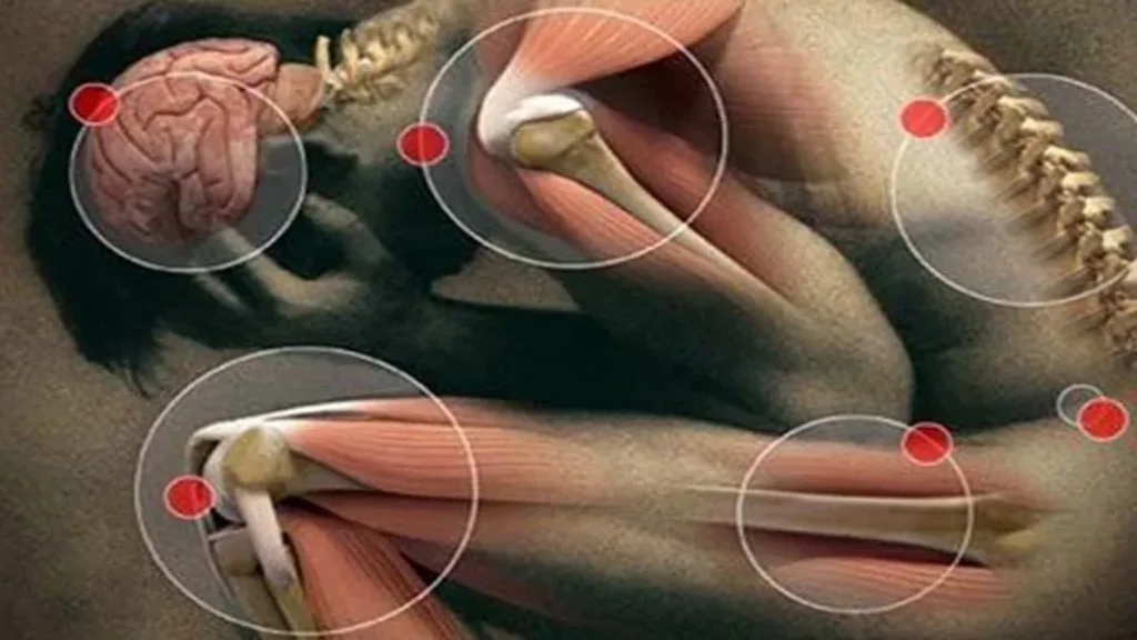 Ostex - recensioni - prezzo - Italia - composizione - opinioni - in farmacia - sito ufficiale